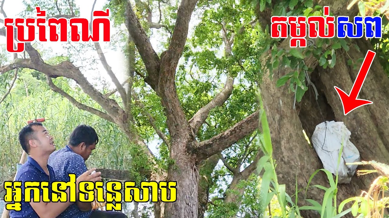 រឿងរ៉ាវនៃព្រៃទុកសាកសពរបស់អ្នករស់នៅបឹងទន្លេសាប​ Video By Rumduol TV