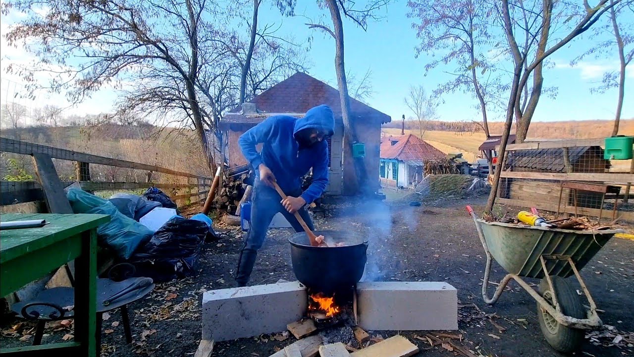M-am certat cu Cornel am plecat de la Casuta din Padure !