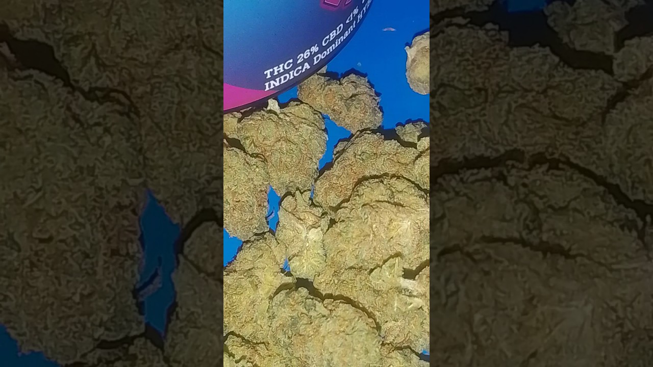 East coast Sour D x Sour Bubble T26