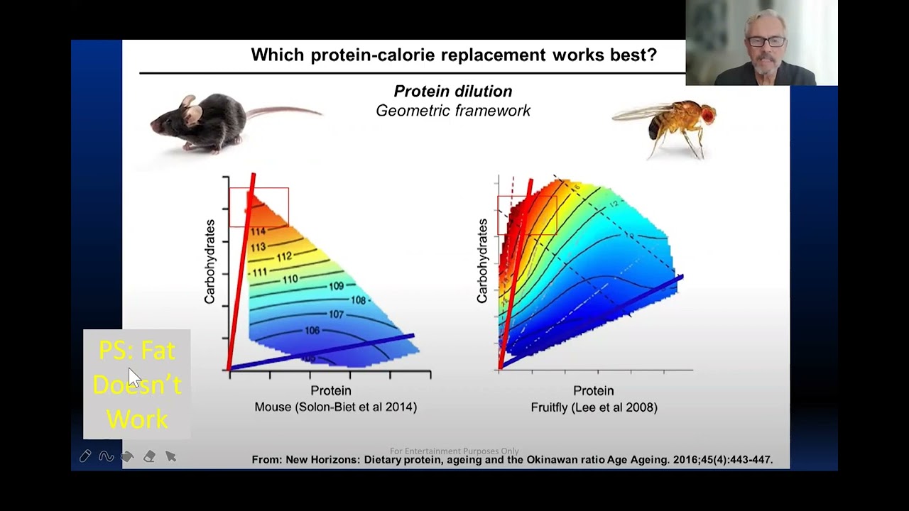 MGB Protein Restriction and Survival_ Come with Me If You Want to Live!