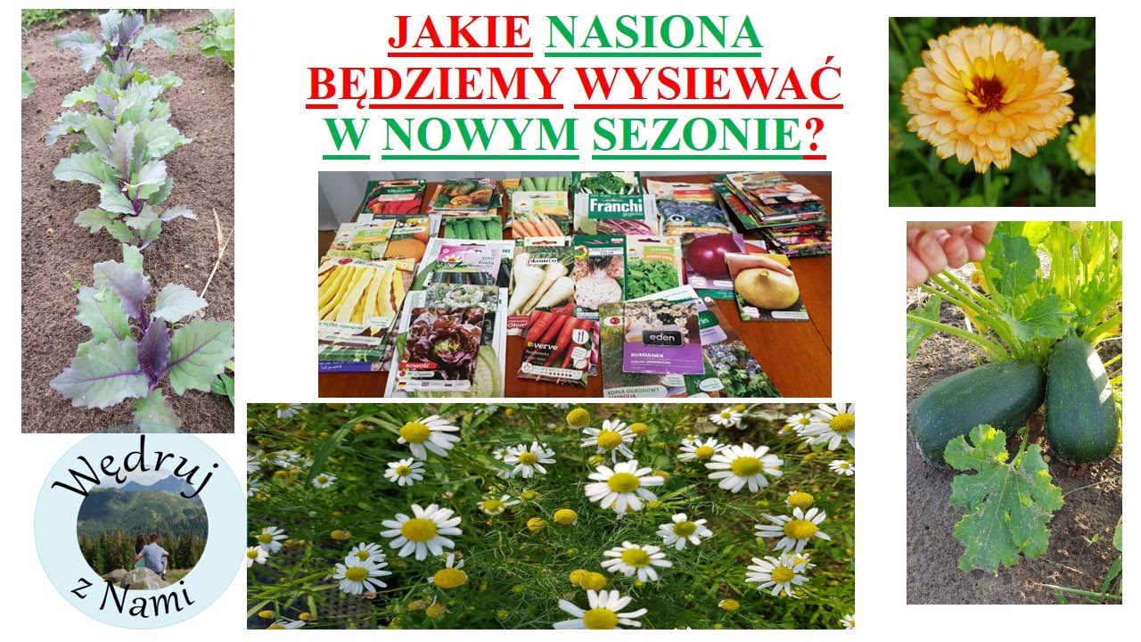 JAKIE NASIONA WYSIEJEMY W SEZONIE 2022? NOWE I SPRAWDZONE ODMIANY W OGRODZIE.