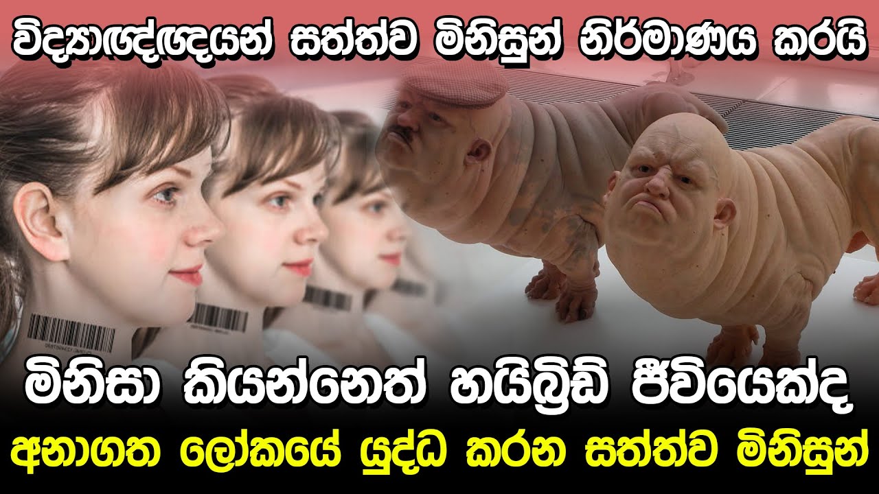 විද්‍යාඥ්ඥයන් සත්ත්ව මිනිසුන් නිර්මාණය කරයි | Hybrid Human Test China  |