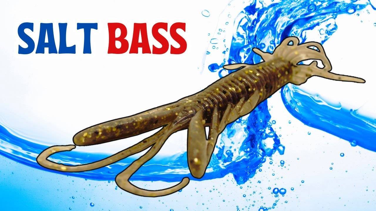 Saltwater Shocker – How Japanese Anglers Fish the DoLive Hog
