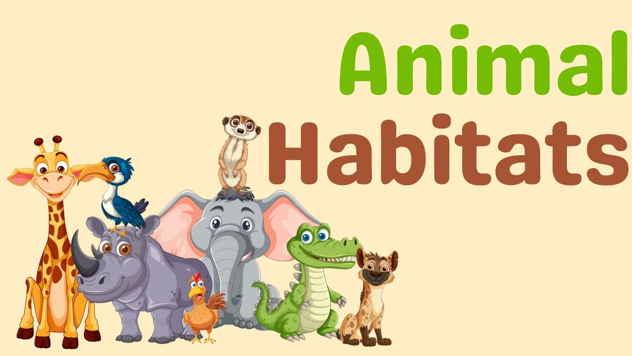 Animal Habitats Song for Kids | Learn Where Animals Live | Fun Educational Song