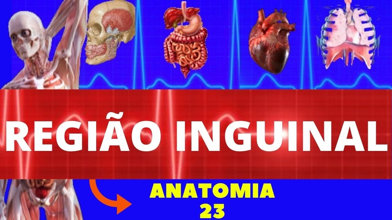 ANATOMIA DA REGIÃO INGUINAL (ANATOMIA HUMANA) - HÉRNIA INGUINAL #ANATOMIA