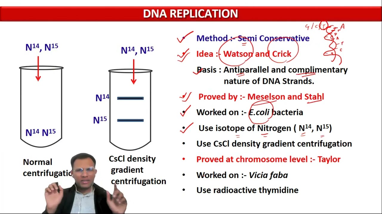 7. DNA Replication - Semi conservative Idea and Experimental proof