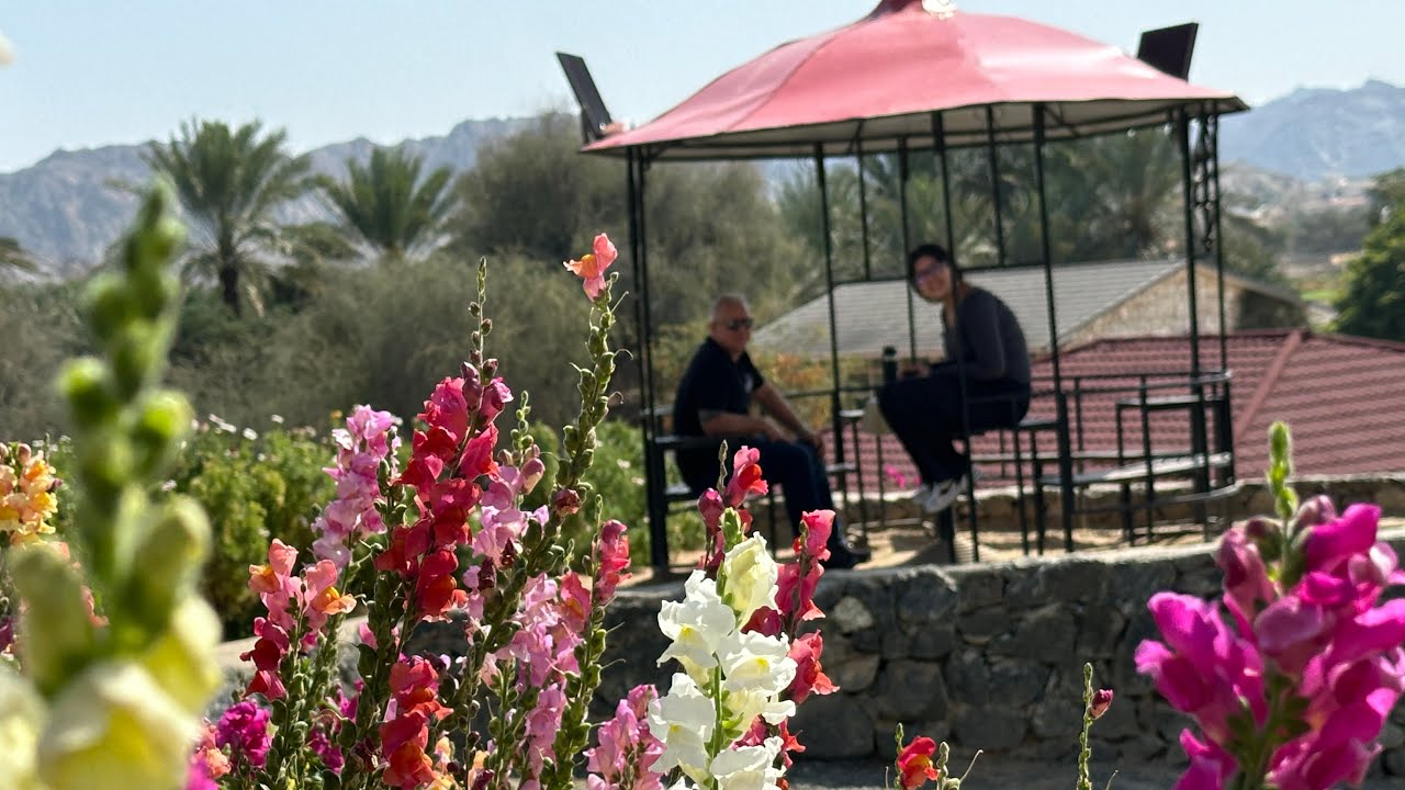 UAE FLOWER FARM