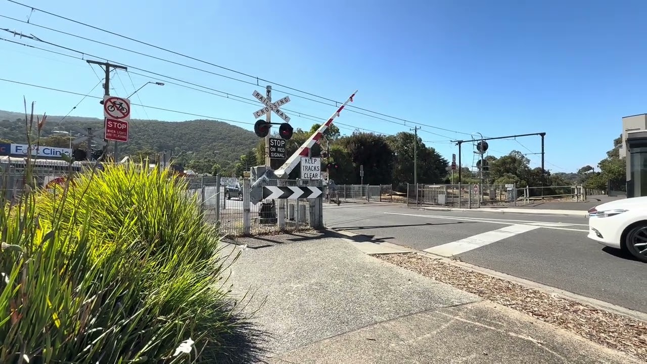 Alpine St Level Crossing Ferntree Gully #metrotrainsmelbourne #train #levelcrossing #railway #rail 