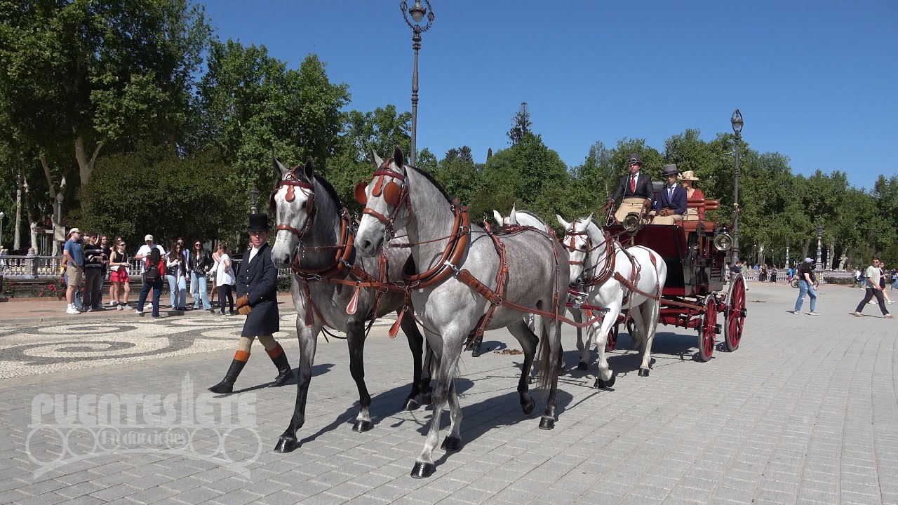 (1/3).- Enganches de Tradición. Sevilla 2024. Prueba de Presentación. Plaza de España.