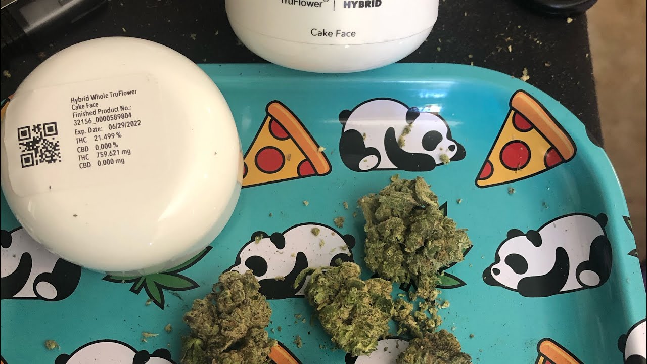 Trulieve: Florida Sunshine & Cake Face Flower Review (both GSC crossed with a kush) MMJ Florida ✌🏻