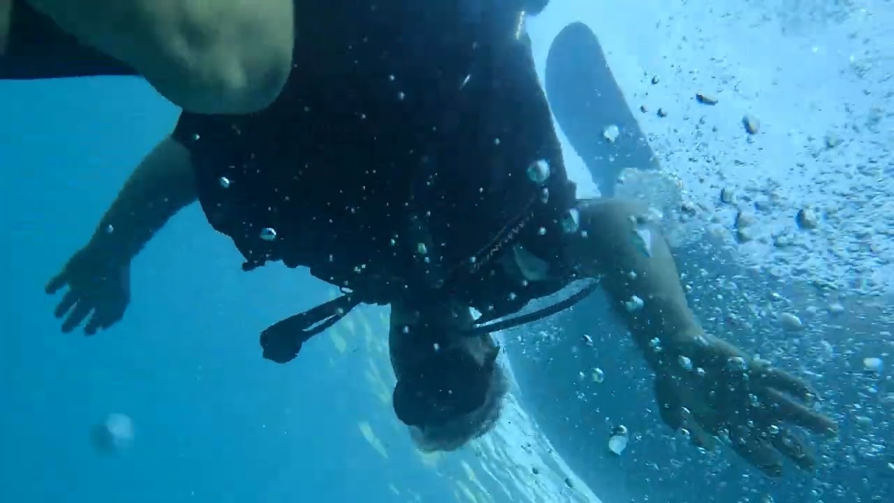27.02.2025 OSLOB\PHILLIPINE WHALE SHARKS SCUBE # DIVER #