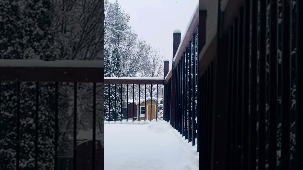 #toronto
