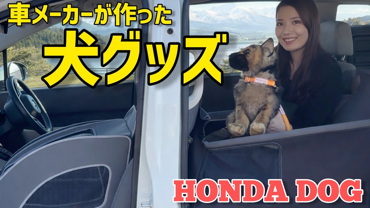 【わんこ】愛犬ファースト設計！ペット用シート装着フリードをチェック！【HONDA DOG 20周年】