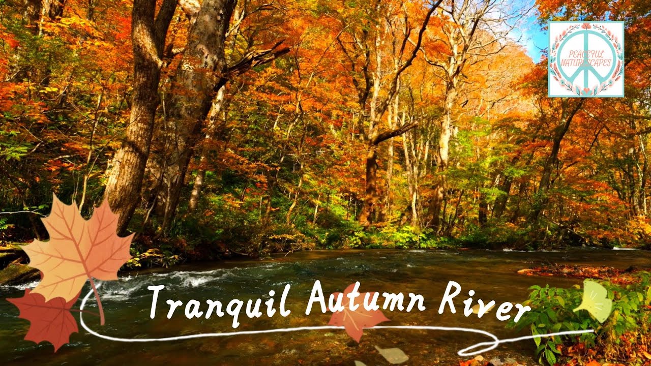 Tranquil Autumn River – Soothing River ASMR & Calming Fall Scenery for Relaxing Background