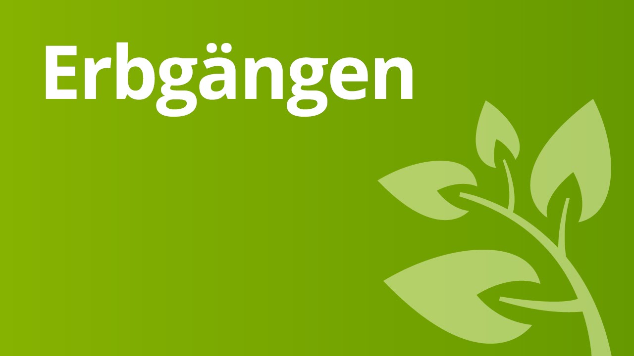 Erbg&auml;nge: dominant-rezessiv, intermedi&auml;r und kodominant | Biologie | Genetik