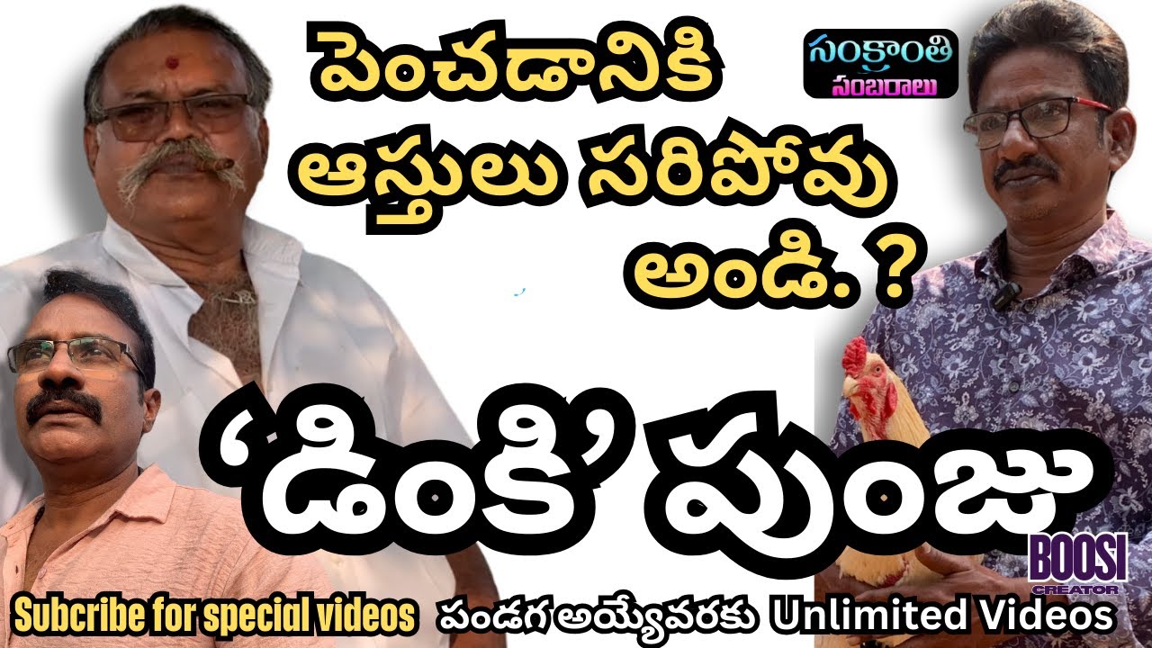 పెంచడానికి ఆస్తులు సరిపోవు. Sankranthi special videos.