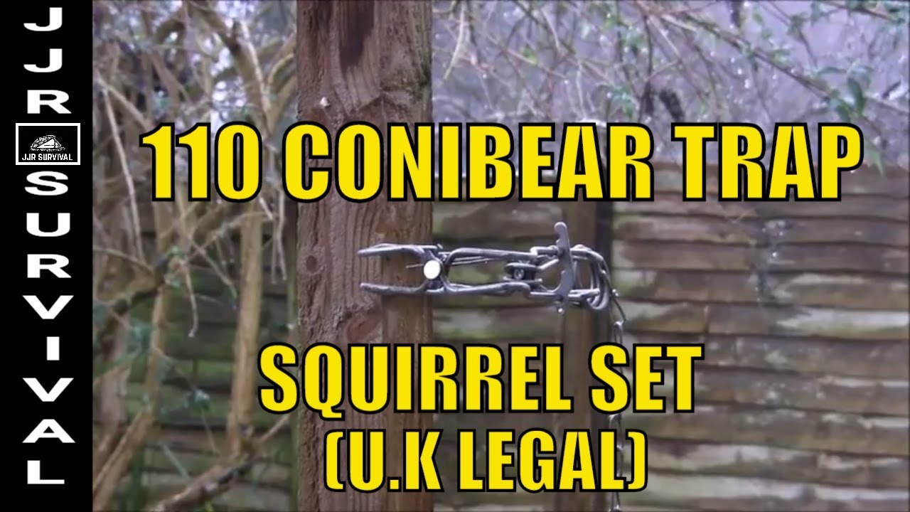 110 CONIBEAR TRAP SQUIRREL SET