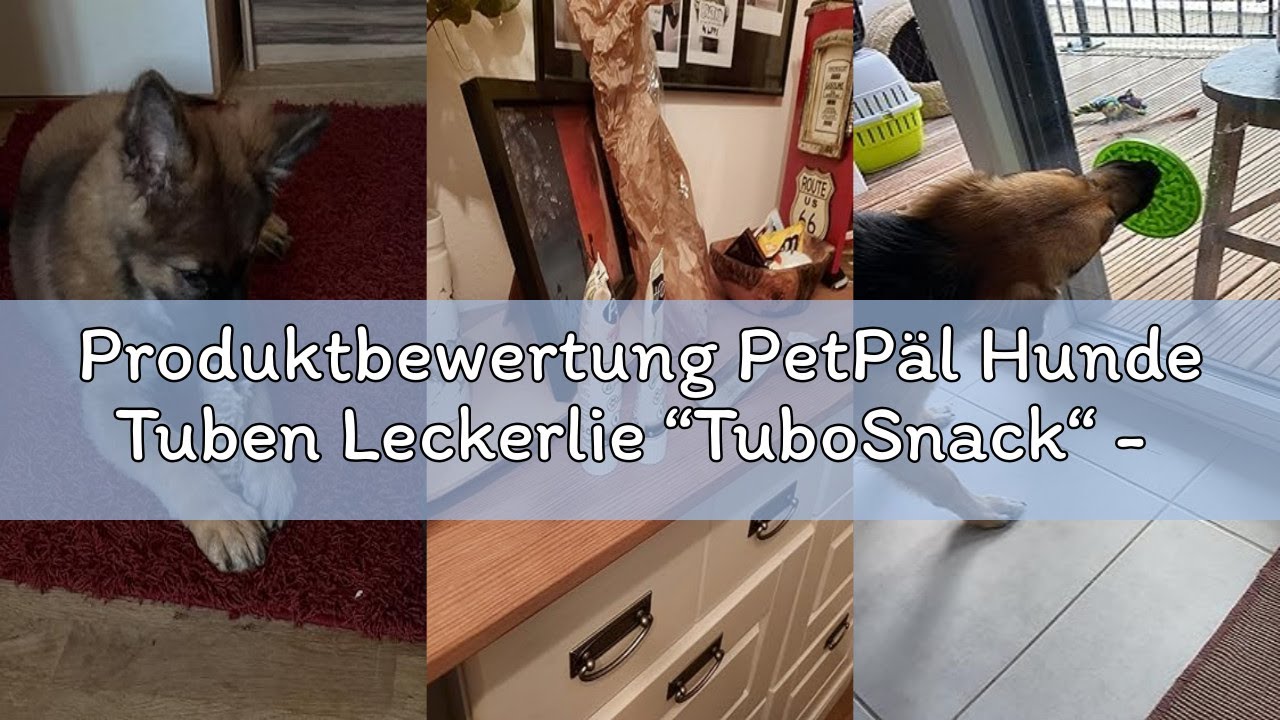 Produktbewertung PetPäl Hunde Tuben Leckerlie “TuboSnack“ - Probierset Leber, Geflügel, Lachs - Ohne