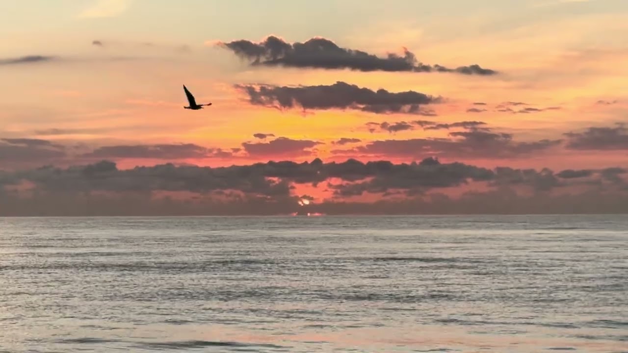 #ocean 