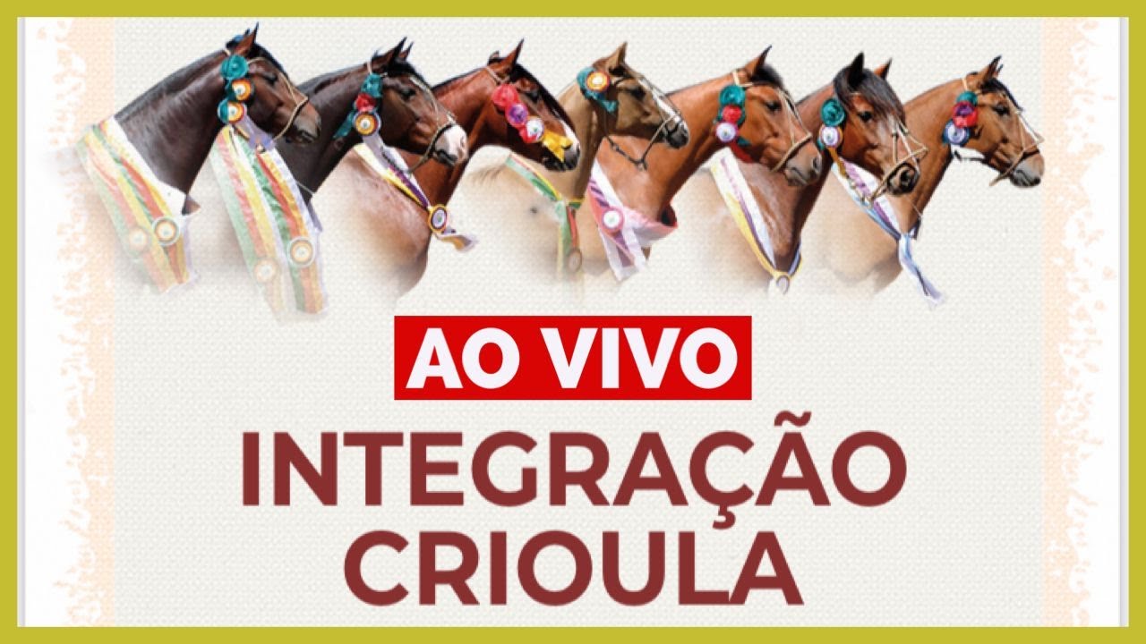 VI LEILÃO VIRTUAL/PRESENCIAL INTEGRAÇÃO CRIOULA AO VIVO - LEILÃO DE CAVALOS