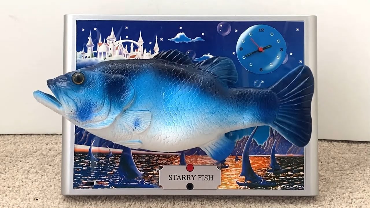 Starry Fish the singing sensation 