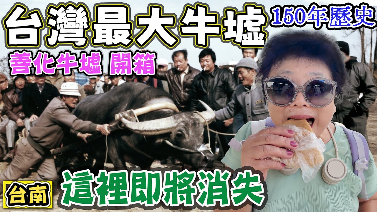 【台灣最大牛墟】150年歷史 這裡即將消失 善化牛墟 奇幻市集