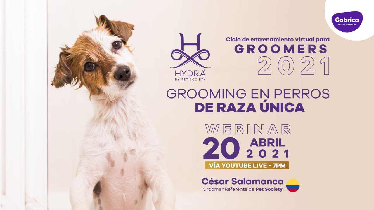 Webinar para Groomers: ✂🐶 Grooming en perros de raza única con César Salamanca