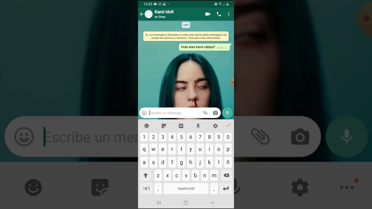 Falsa karol me insulta (no lo compartan no quiero ser meme) ;(