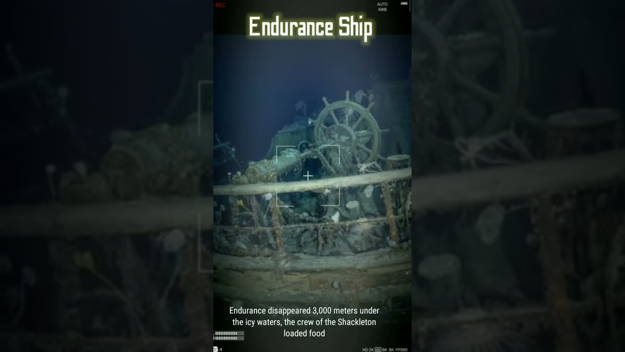 Endurance ship | History
