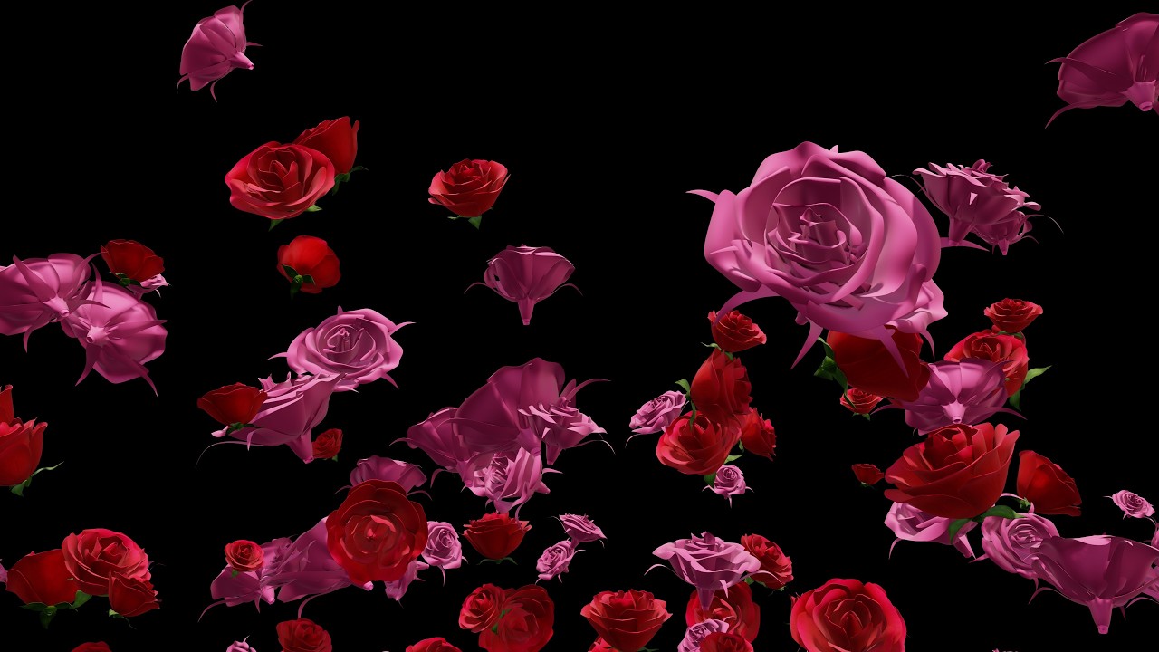 Miley Cyrus 'Flowers