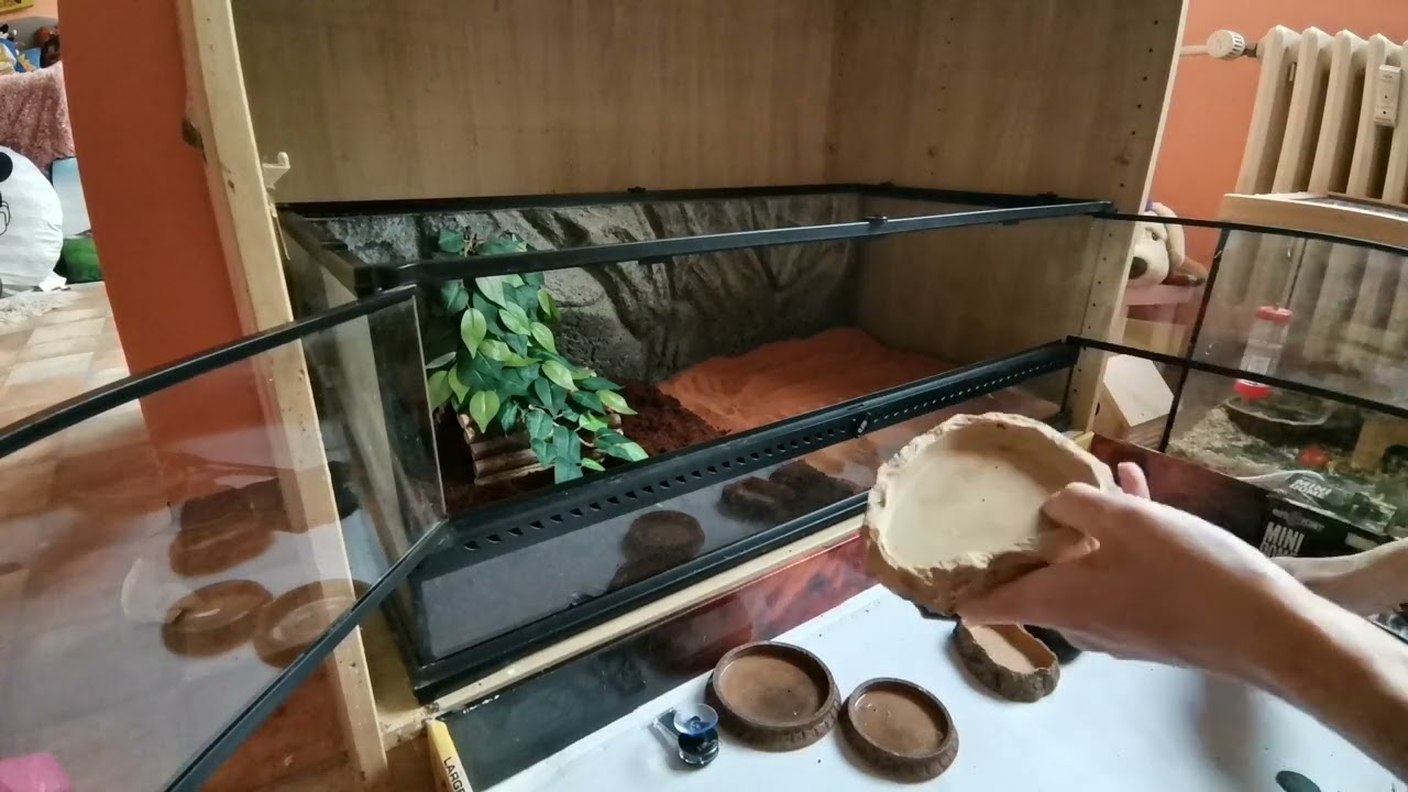Zařizujeme terárium pro želvu