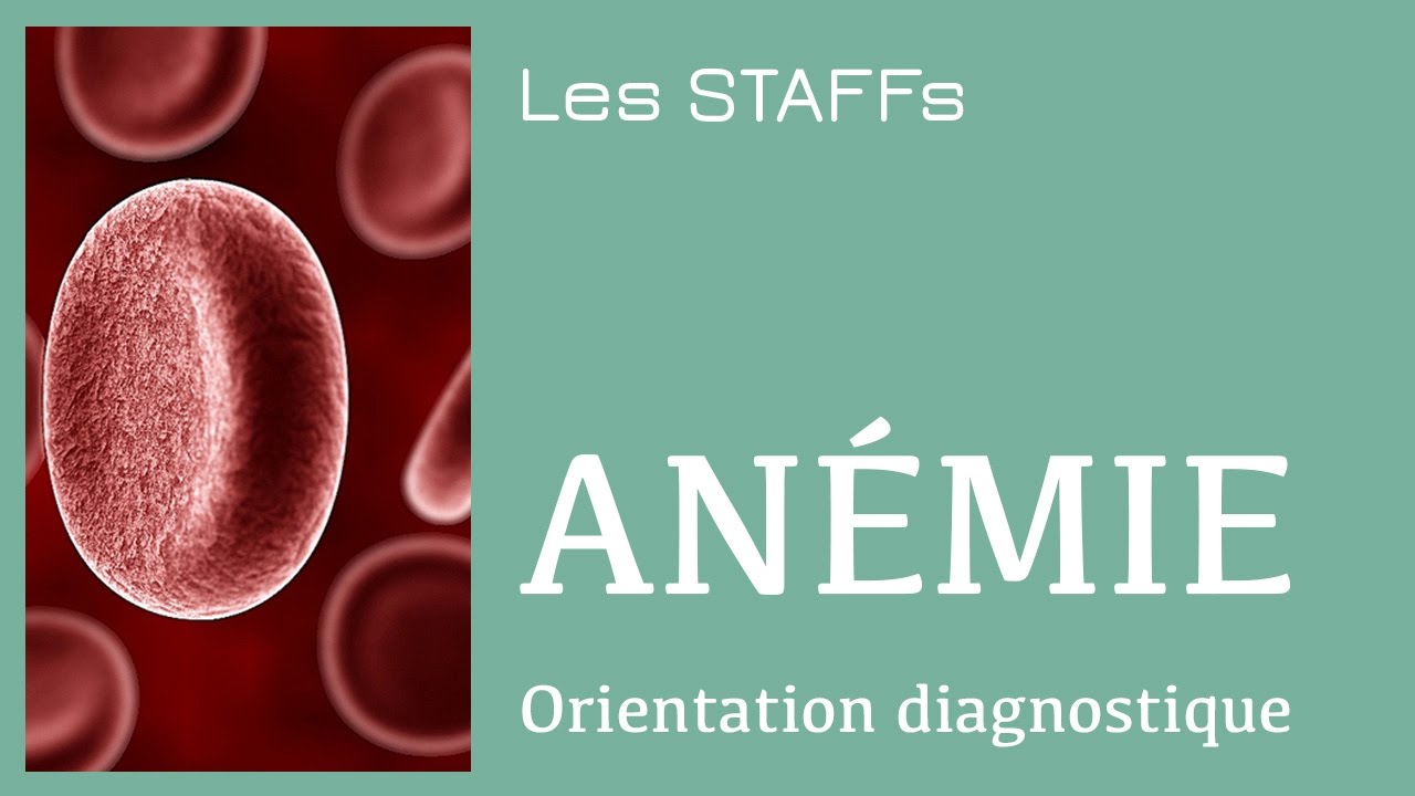 Anémie - #19 - STAFFs Saint Camille