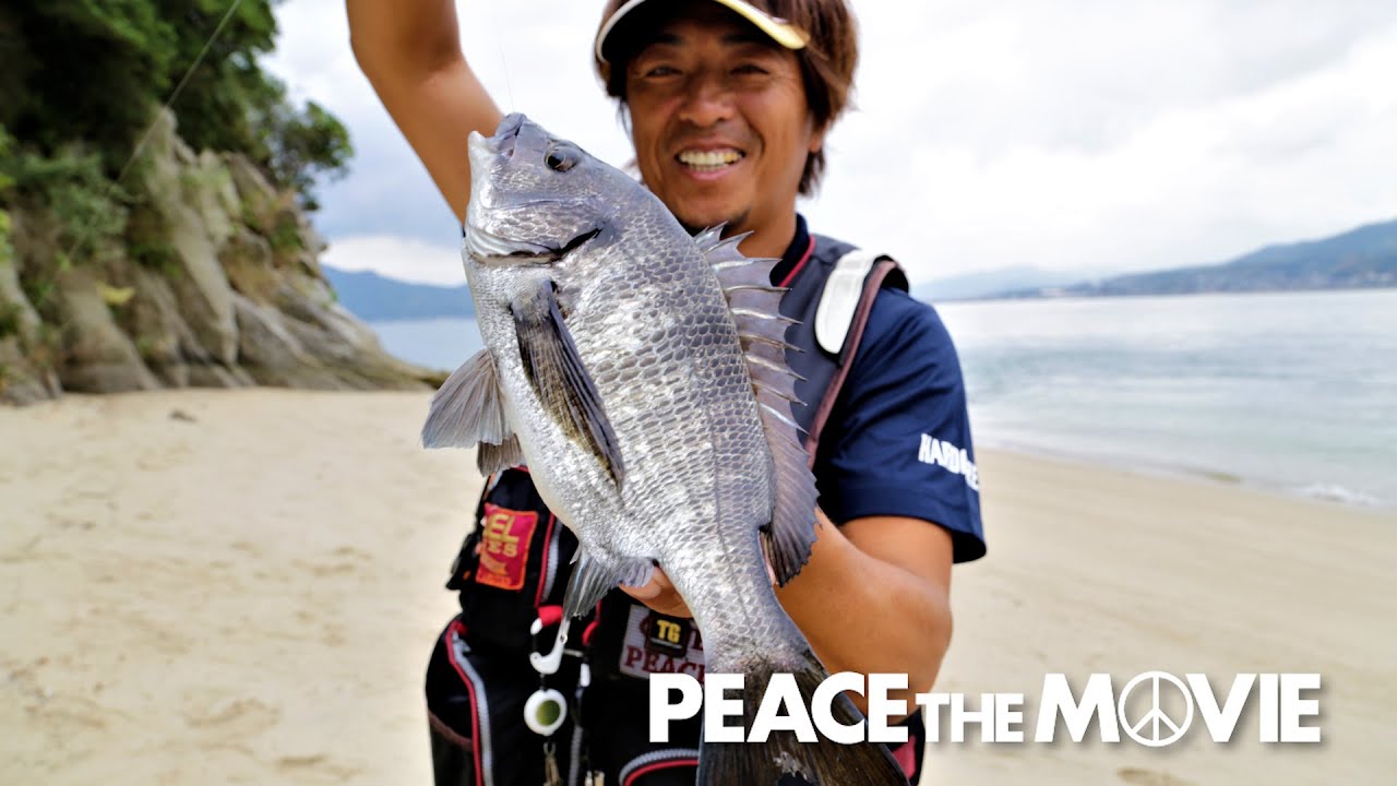 PEACE THE MOVIE #82「秋の渚でチヌ狙い!!」中国地方・山口県周防大島の旅(前編)/平和卓也(987)