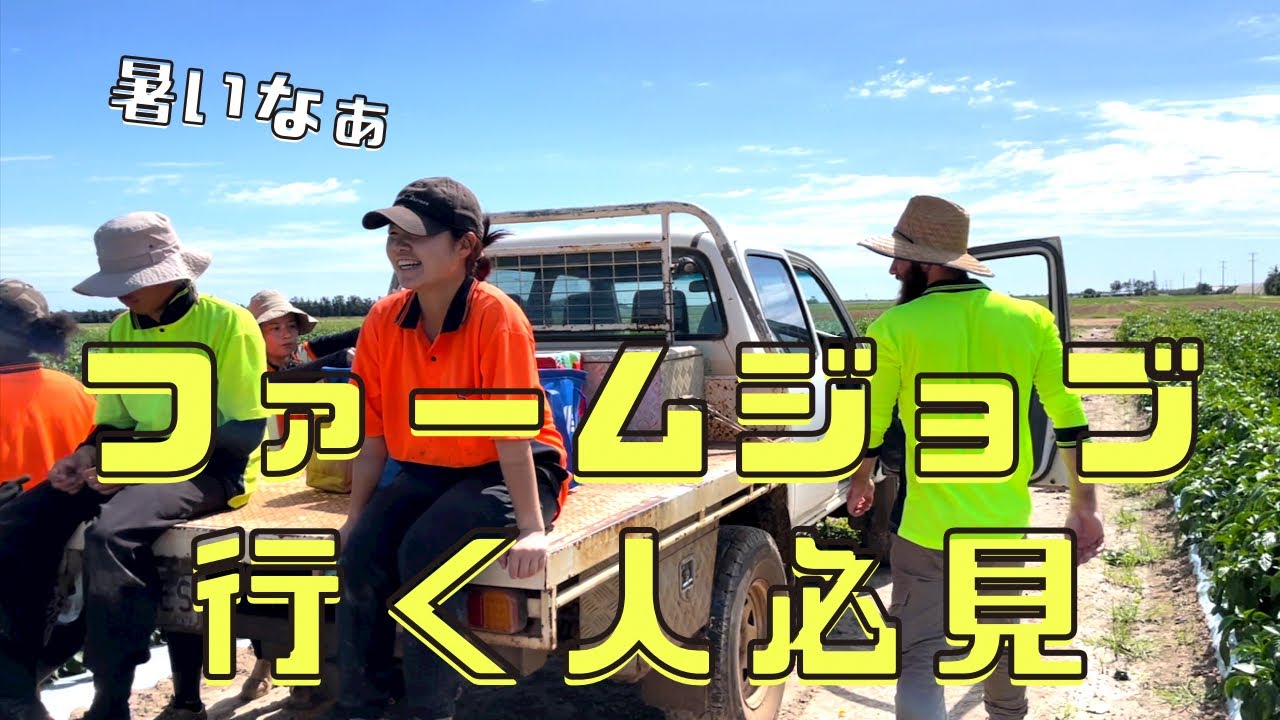 【🇦🇺ワーホリ】ファームジョブ考えてる人必見！2022年最新、ファーム生活総まとめ