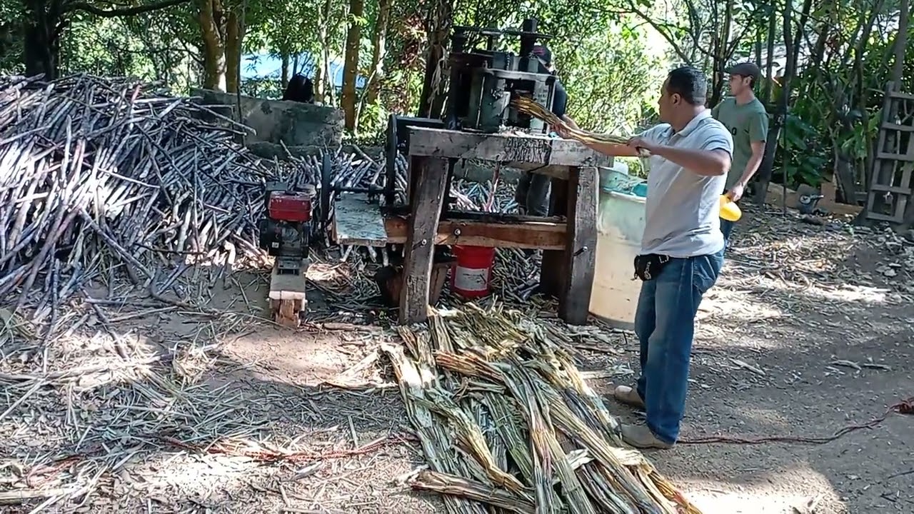 Moliendo caña de azúcar, con motor en trapiche, @elsalvadorhuellasverdes