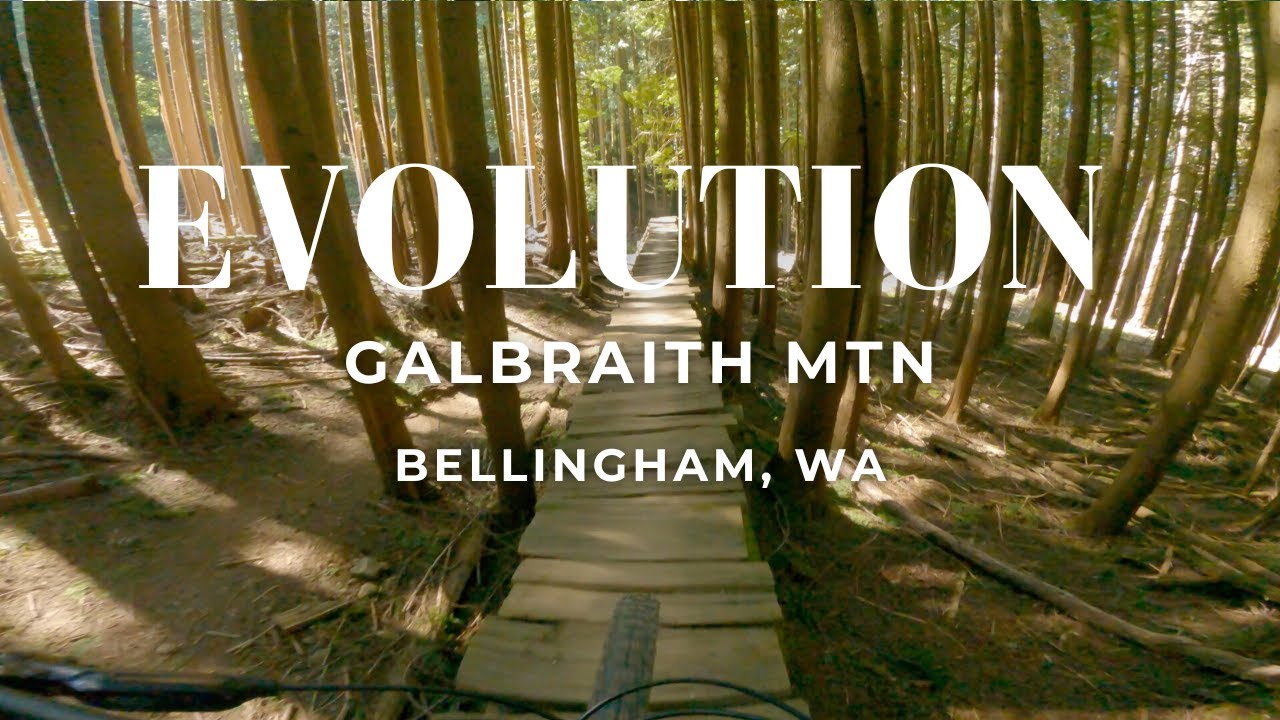 Evolution on Galbraith MTN -  Bellingham, WA