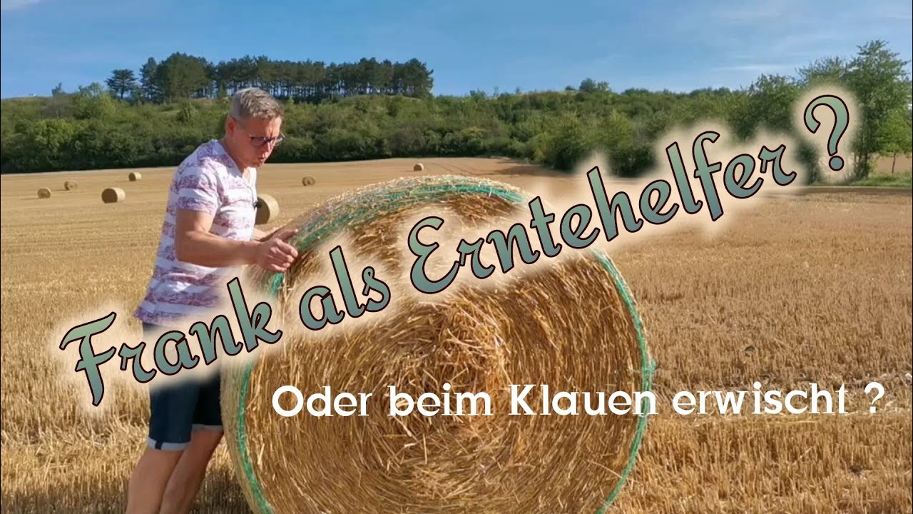 Brauchen Meerschweinchen Heu u. Stroh ? / Warum bekommen meine Meerschweinchen immer Stroh u. Heu ?