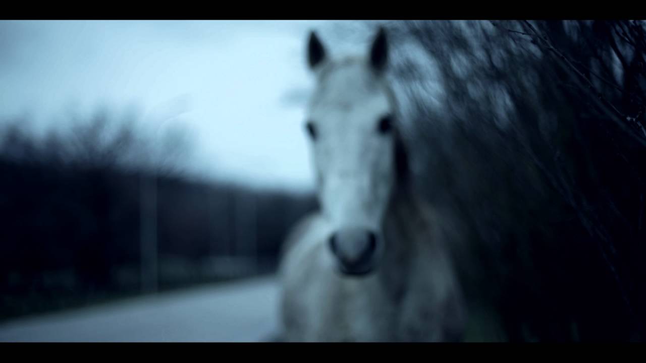MOONLOVERZ - MEDITAZIONE (Official Video)