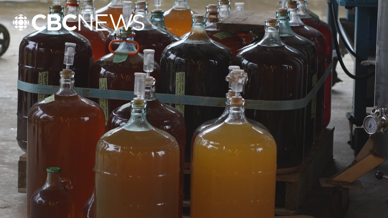 Nanaimo cidery facing possible tax hike following property reclassification