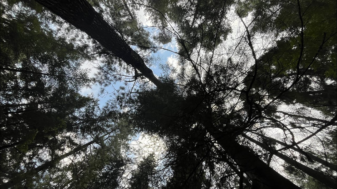 RECORRIDO POR RÍO FRÍO