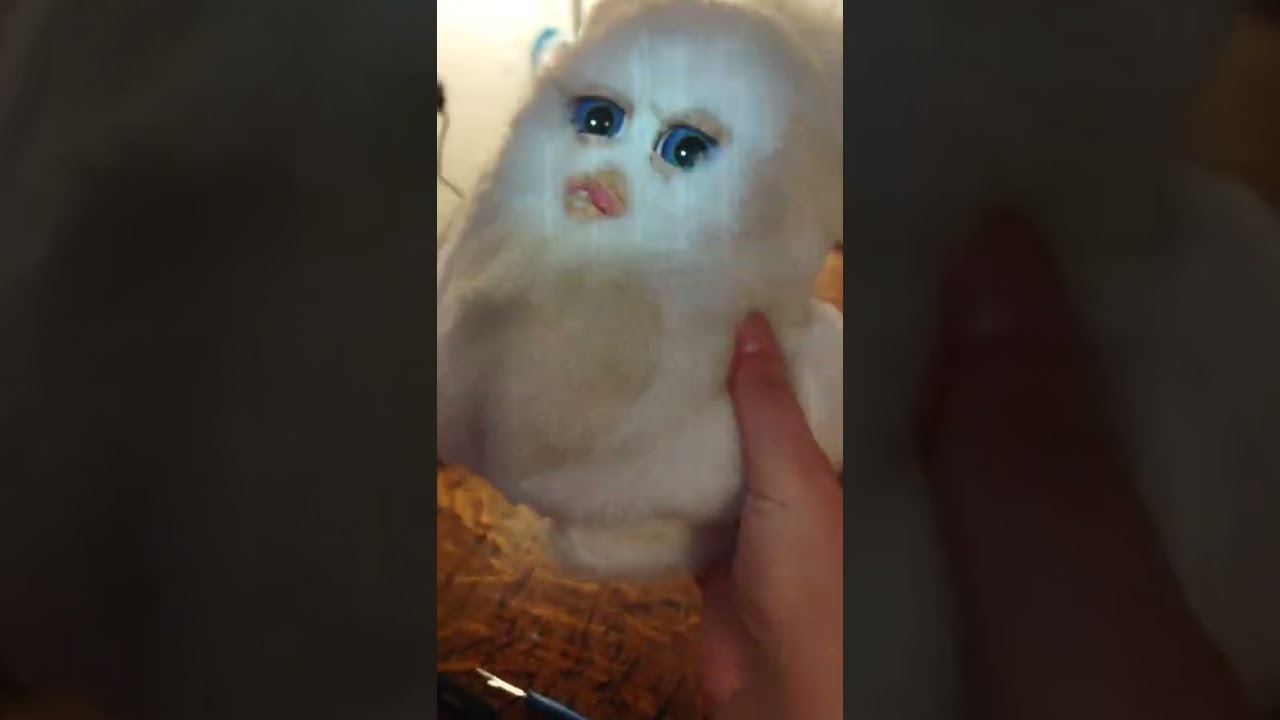 How to Furby! : 2005 Furby Eye Swap Tutorial Part 1, and How to Skin a 2005 Furby!