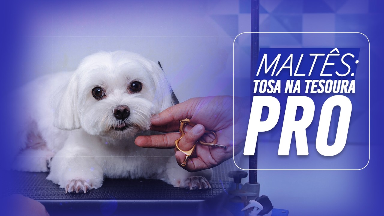 MALTÊS - Tosa na Tesoura PRO