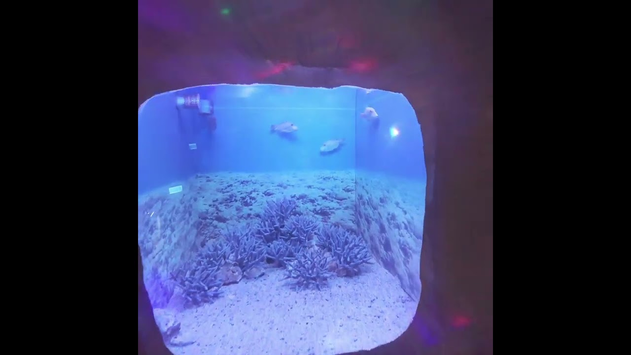 野柳海洋世界/海底世界探索館