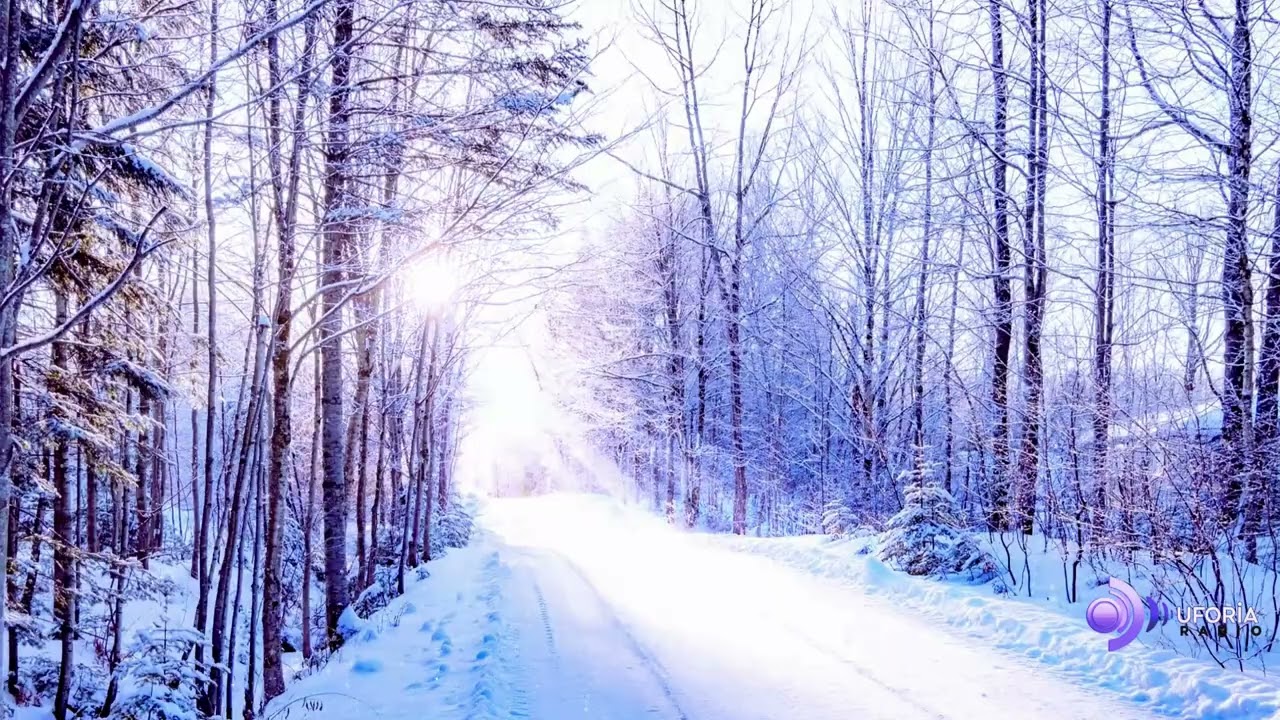 The S-Word (Snow Panic Song) 😂 | Funny Country Song About Snow Freakouts