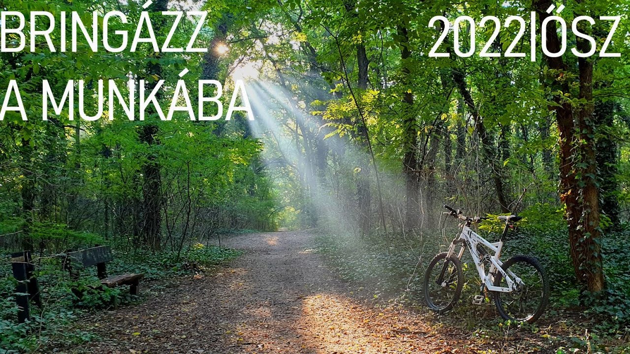 Bring&aacute;zz a munk&aacute;ba 2022 (komment&aacute;r n&eacute;lk&uuml;l)