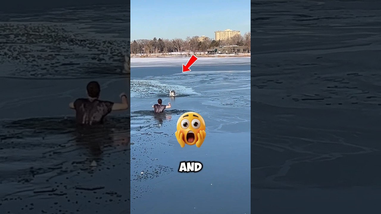 Собака провалилась под лед… А потом этот человек совершил немыслимое!