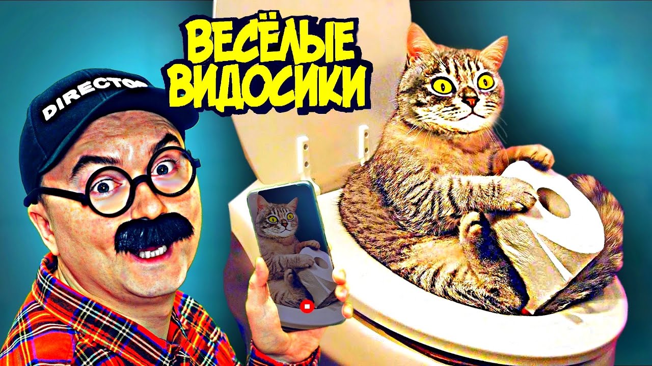 ВЕСЕЛЫЕ ВИДОСИКИ! 5 МИНУТ СМЕХА (ИЛИ НЕТ) 3 ВЫПУСК