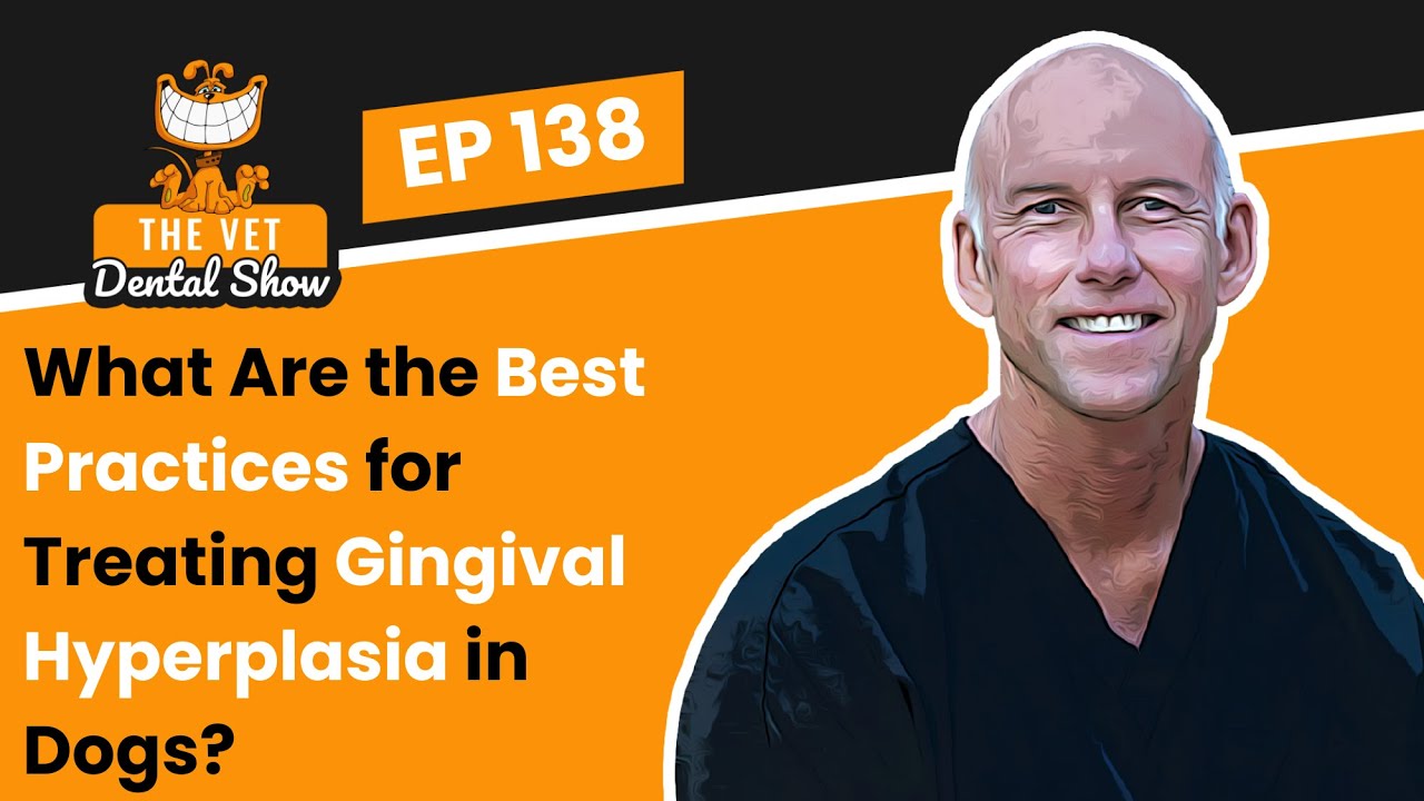 Ep 138 - What Are the Best Practices for Treating Gingival Hyperplasia in Dogs?
