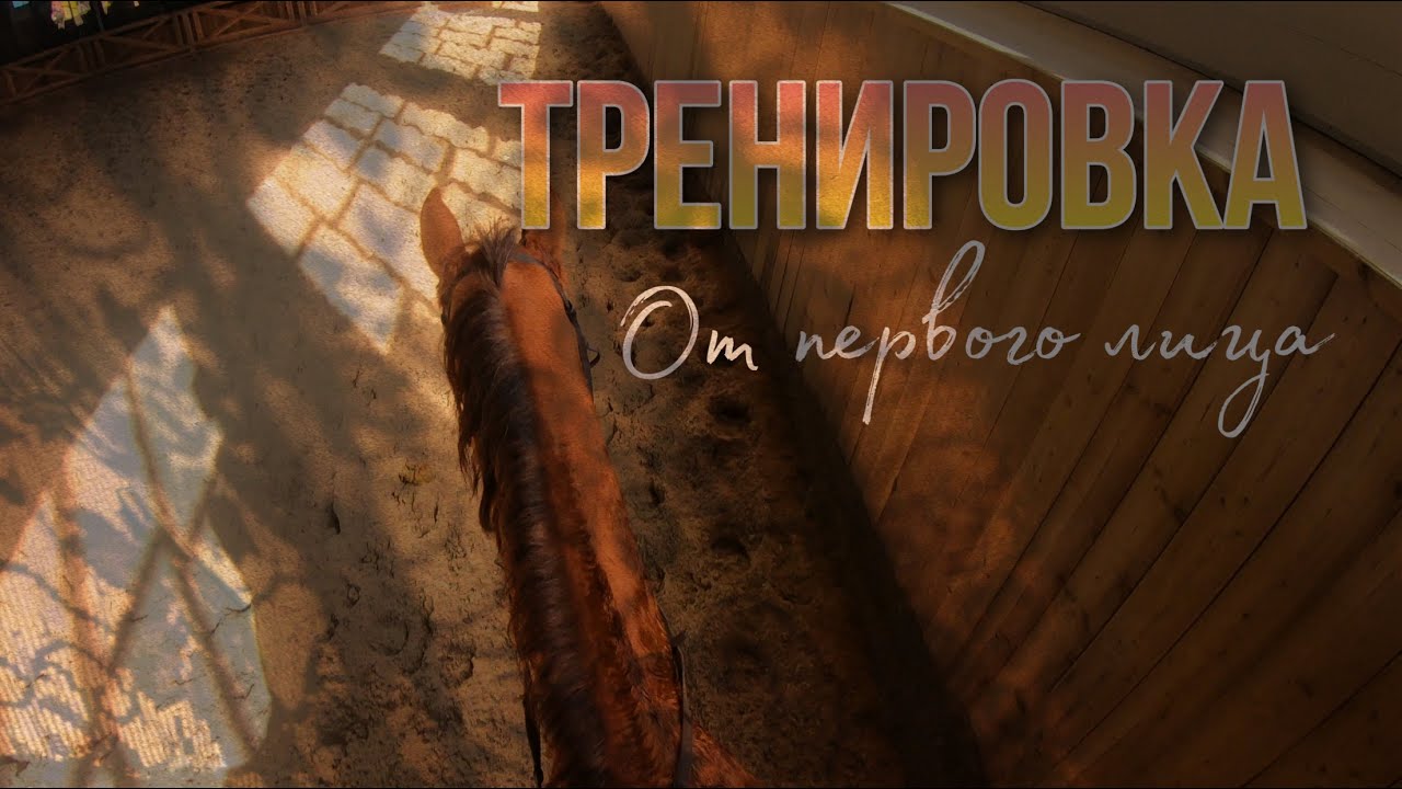 Конный спорт|Тренировка от первого лица|На Жасмин