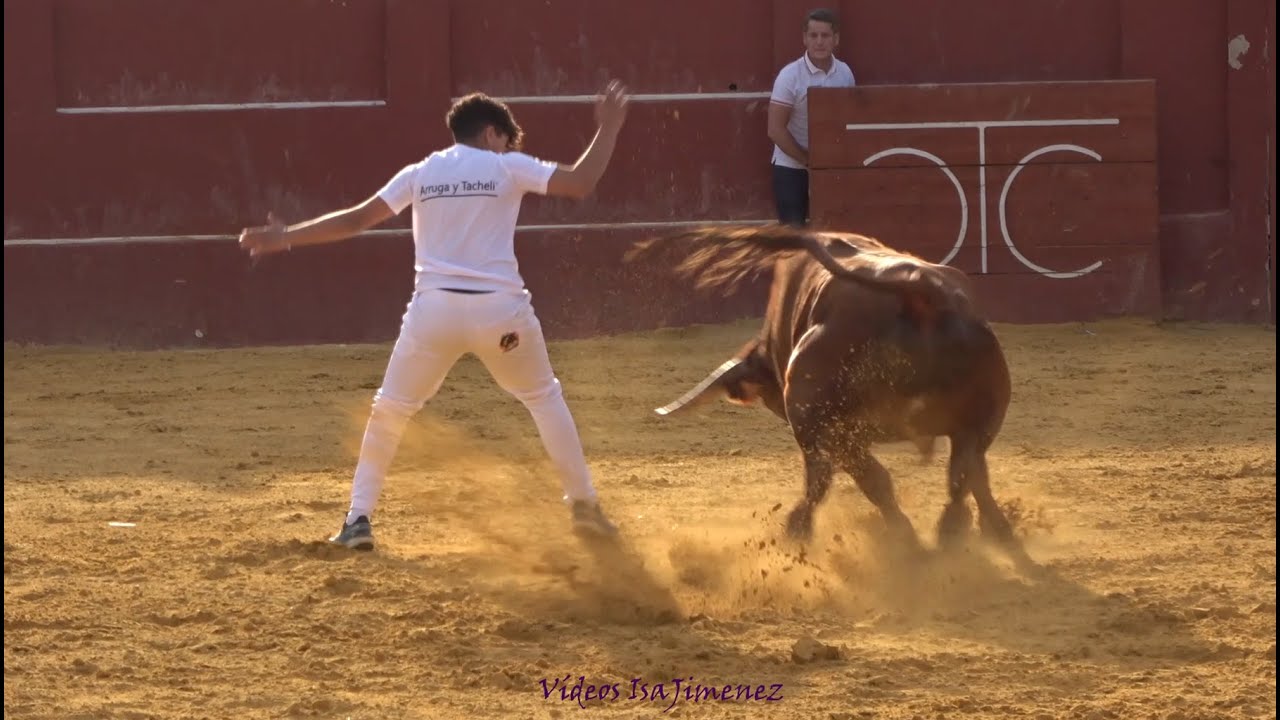 Cariñena (Zaragoza) - 16/09/2024 - Maestros de la calle - HD